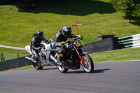Vintage-motorcycle-club;eventdigitalimages;mallory-park;mallory-park-trackday-photographs;no-limits-trackdays;peter-wileman-photography;trackday-digital-images;trackday-photos;vmcc-festival-1000-bikes-photographs